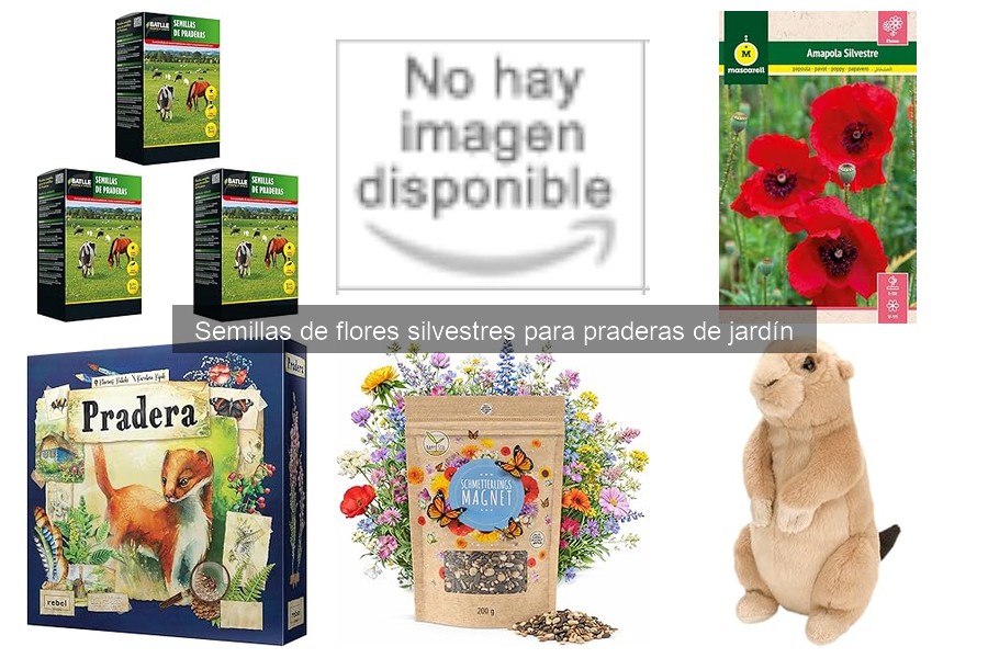 Cómo plantar y cuidar flores silvestres en tu jardín