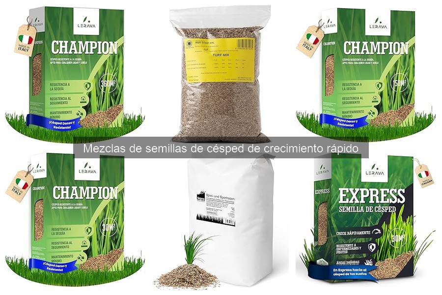 Cómo Plantar y Cuidar Mezclas de Semillas de Césped Rápido