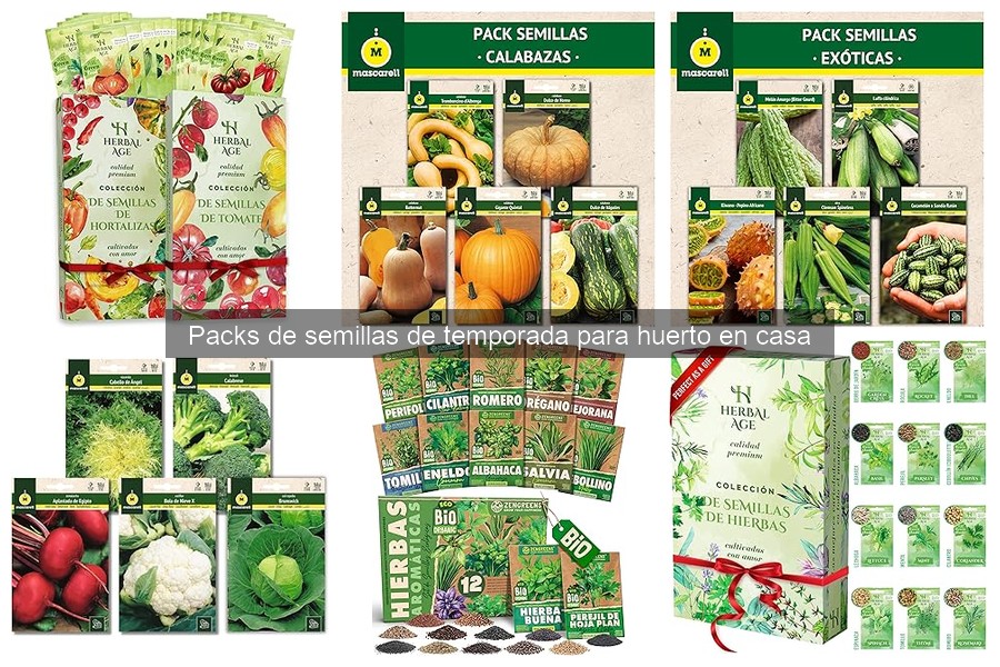 Cómo plantar y cuidar semillas de temporada en casa