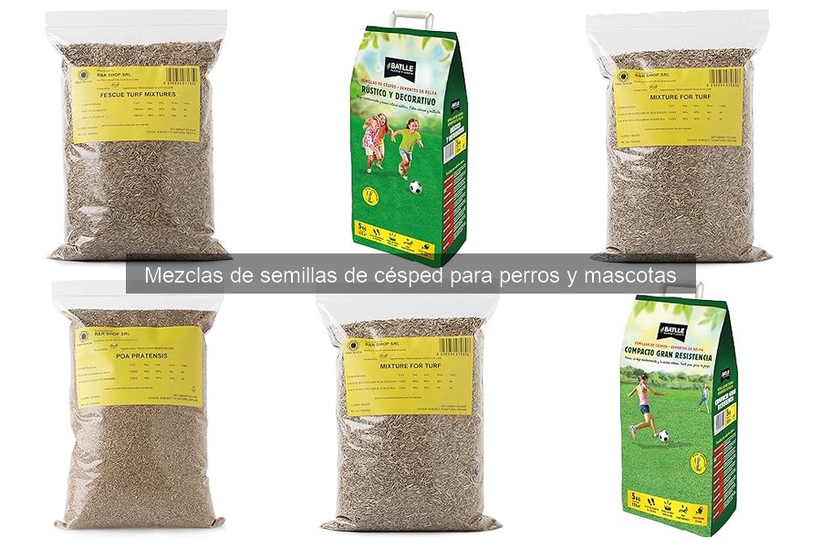 Cómo preparar el suelo para césped ideal para mascotas