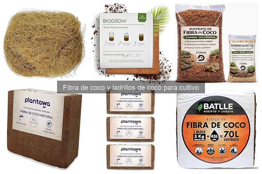 Cómo Preparar y Usar Ladrillos de Coco para Cultivo