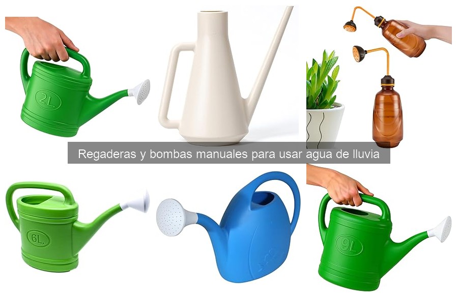 Cómo Promover la Recolección de Agua de Lluvia en Casa