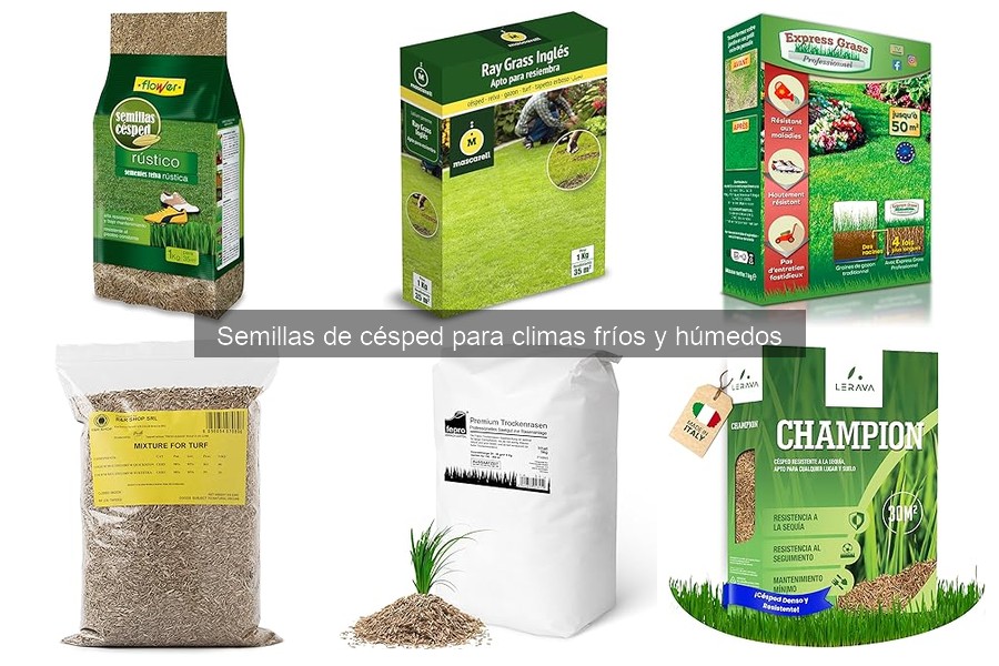 Cómo seleccionar semillas de césped para climas fríos y húmedos