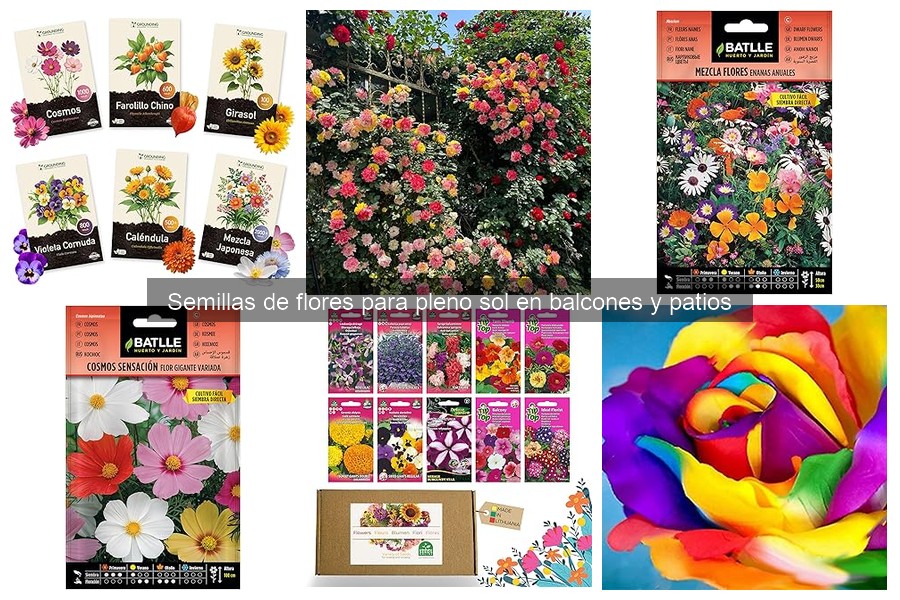 Cómo seleccionar semillas de flores según el clima