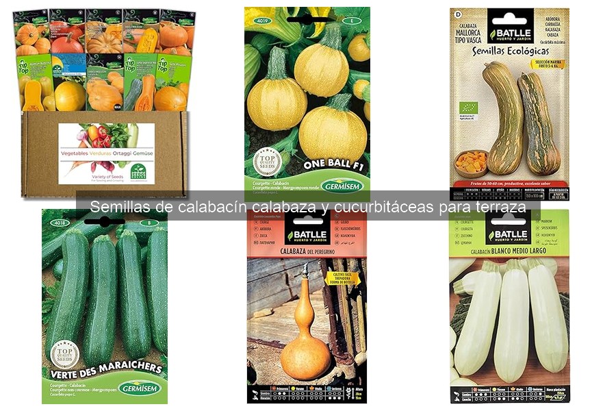 Cómo sembrar semillas de calabacín y calabaza en terraza