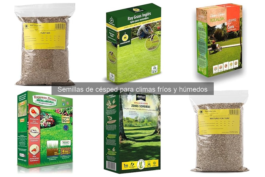 Cómo sembrar semillas de césped en climas fríos y húmedos