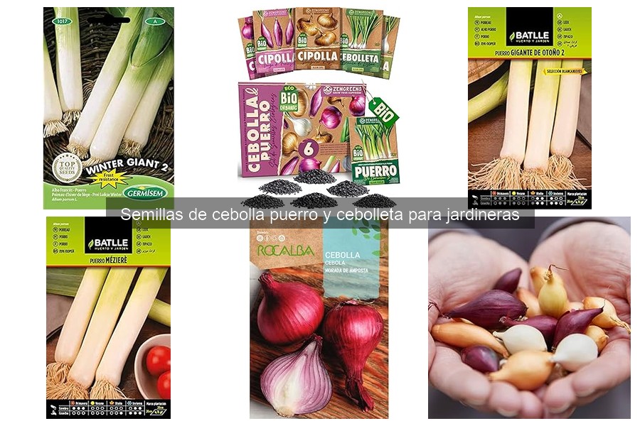 Cómo sembrar y cuidar cebolla puerro y cebolleta en jardineras