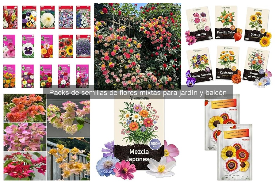 Cómo Sembrar y Cuidar Semillas de Flores Mixtas