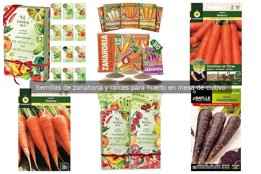 Cómo sembrar zanahorias paso a paso en tu huerto