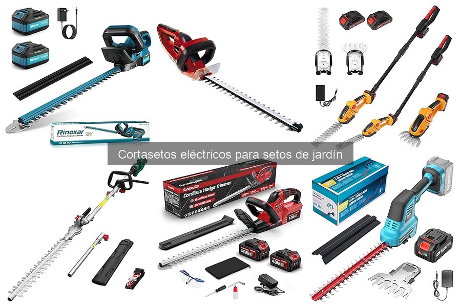 Cómo usar correctamente un cortasetos eléctrico