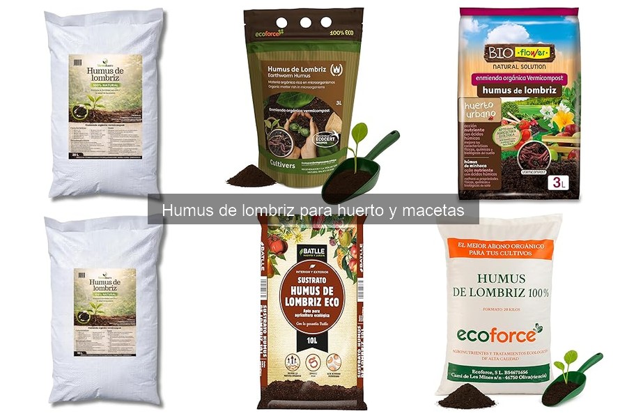 Cómo Usar Humus de Lombriz en el Huerto: Guía Práctica
