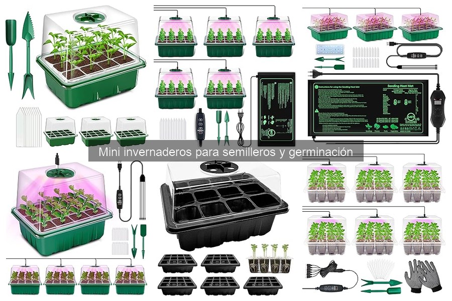 Cómo usar mini invernaderos para maximizar la germinación