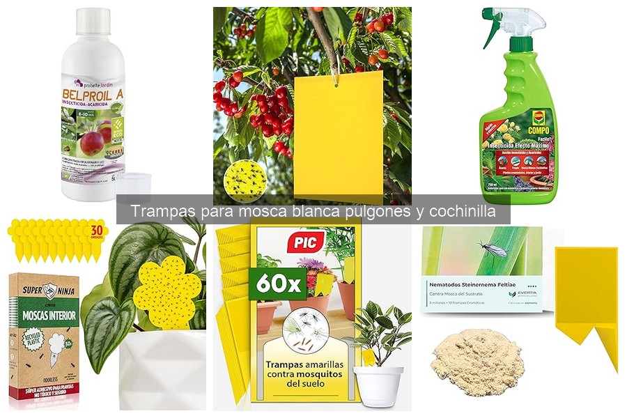 Cómo usar trampas para insectos en jardines y huertos