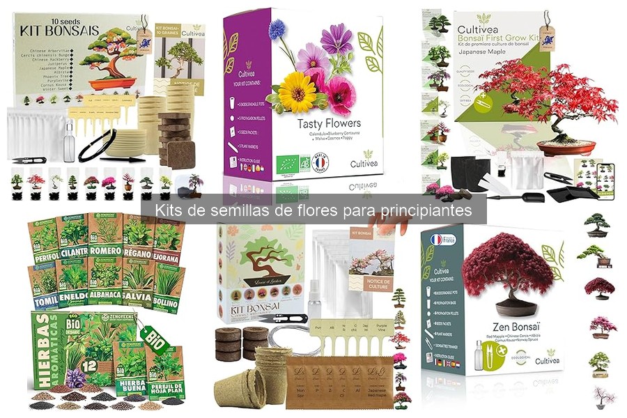 Cómo utilizar un kit de semillas de flores para principiantes
