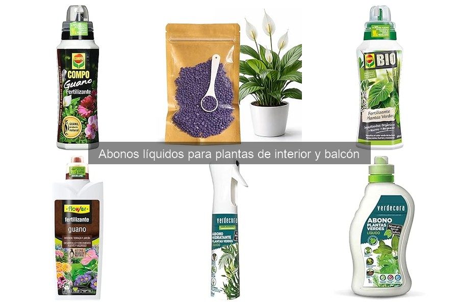 Comparativa: Abonos líquidos vs sólidos para plantas