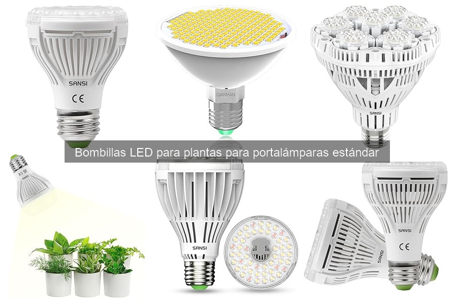 Comparativa: Bombillas LED vs. Halógenas y Fluorescentes
