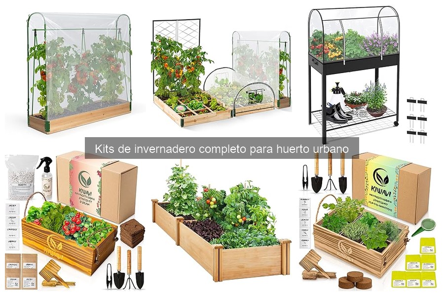 Comparativa de invernaderos: ¿Cuál es el mejor para ti?