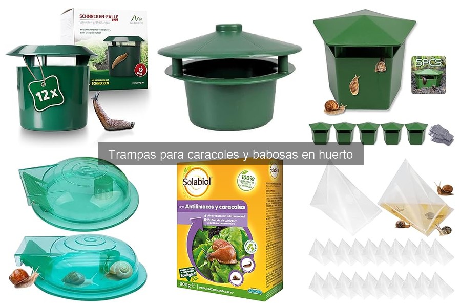 Comparativa de las mejores trampas para caracoles y babosas