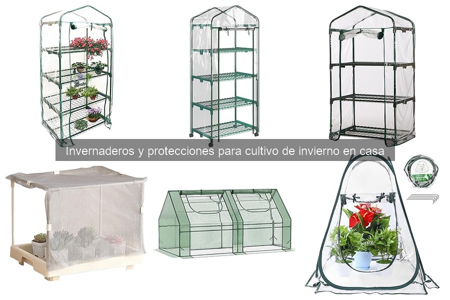 ** Comparativa de los mejores invernaderos para cultivo doméstico