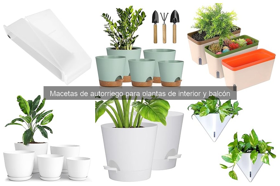 Comparativa de macetas de autorriego para balcón e interior