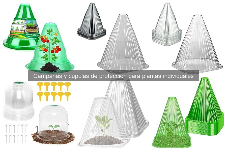 Comparativa de precios de campanas y cúpulas para plantas