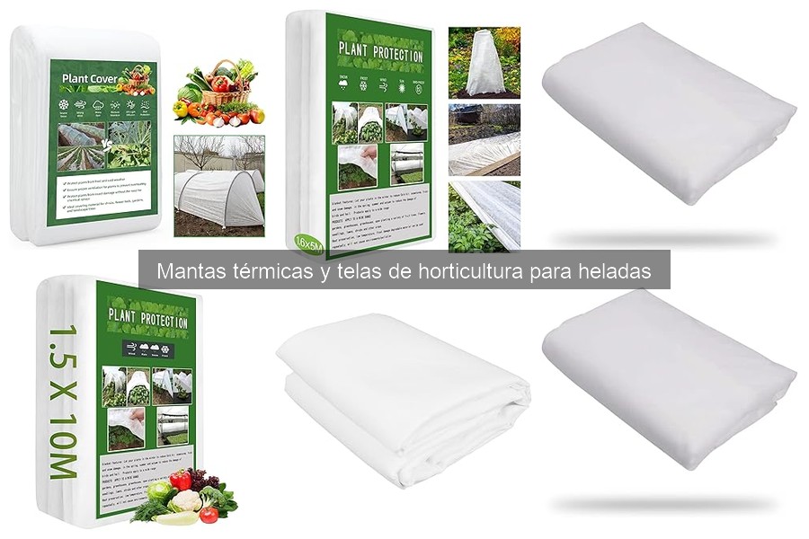 Comparativa de precios de mantas térmicas para plantas