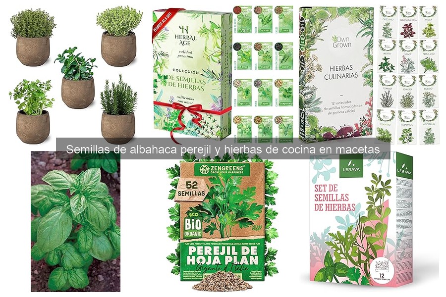 Comparativa de precios de semillas de albahaca en tiendas online