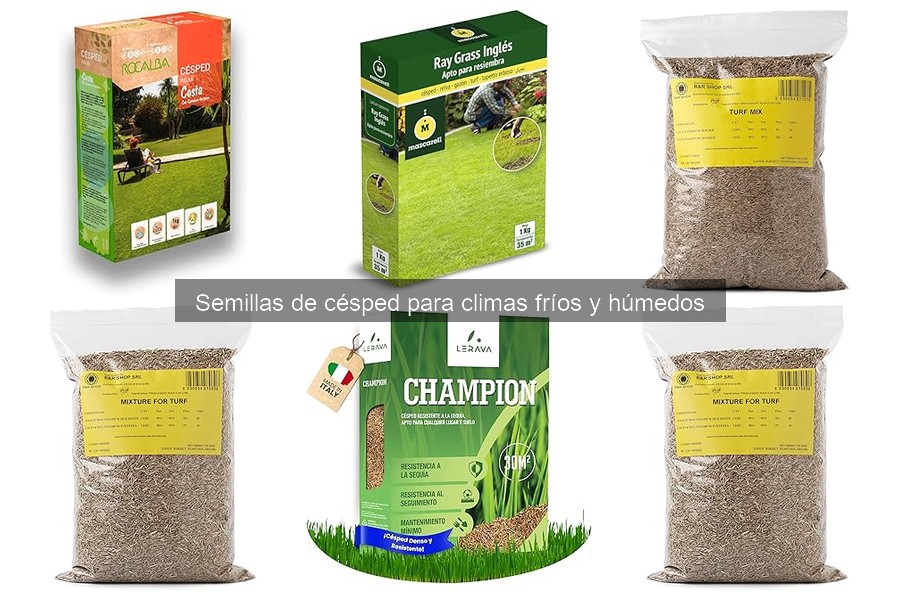 Comparativa de precios de semillas de césped para climas fríos