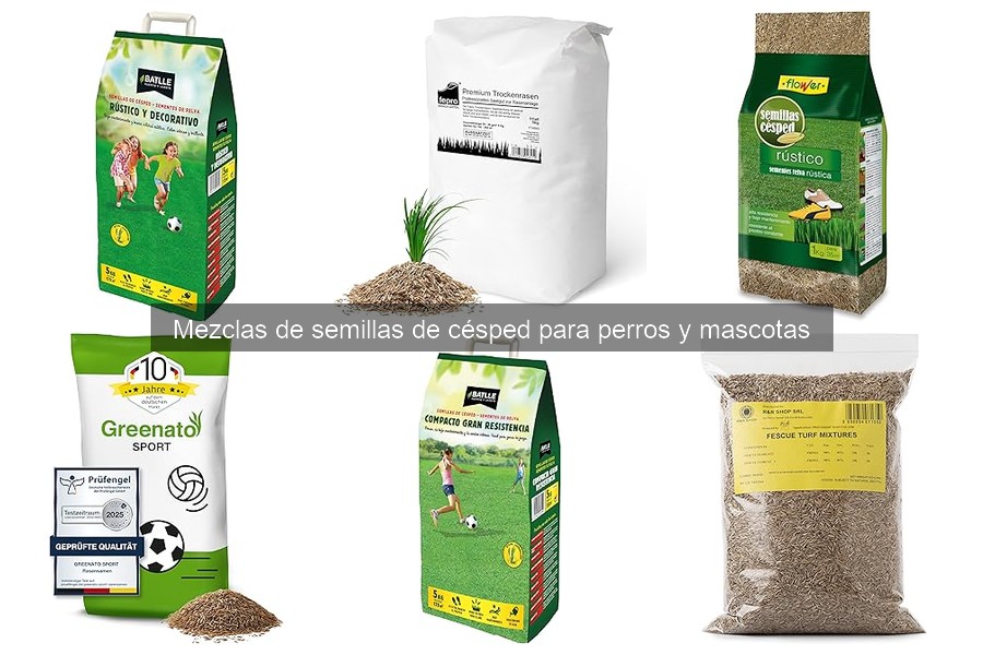 Comparativa de precios de semillas de césped para mascotas