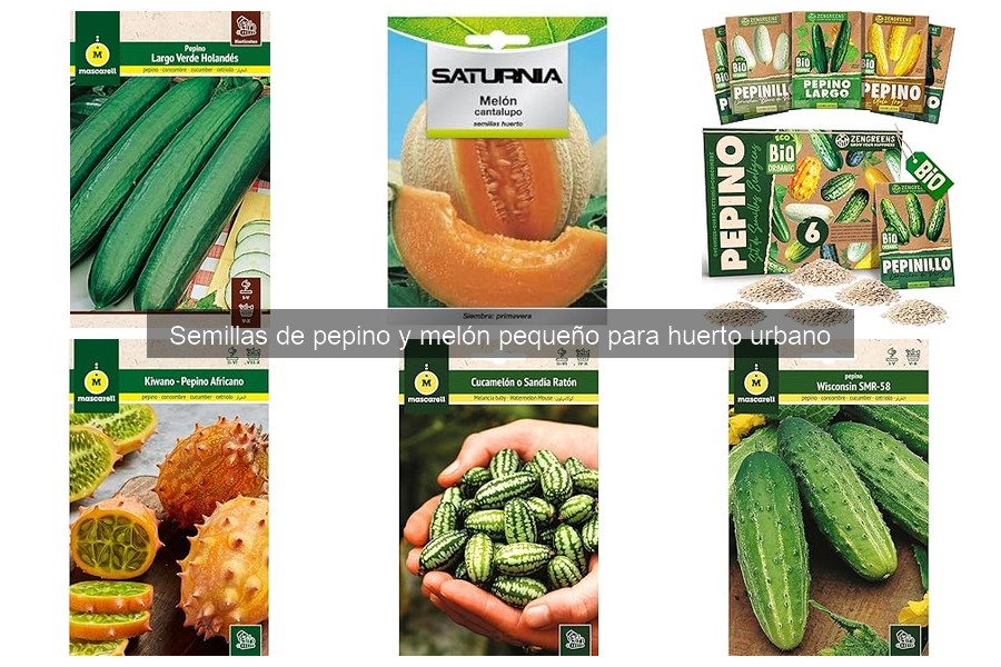 Comparativa de precios de semillas de pepino y melón pequeño
