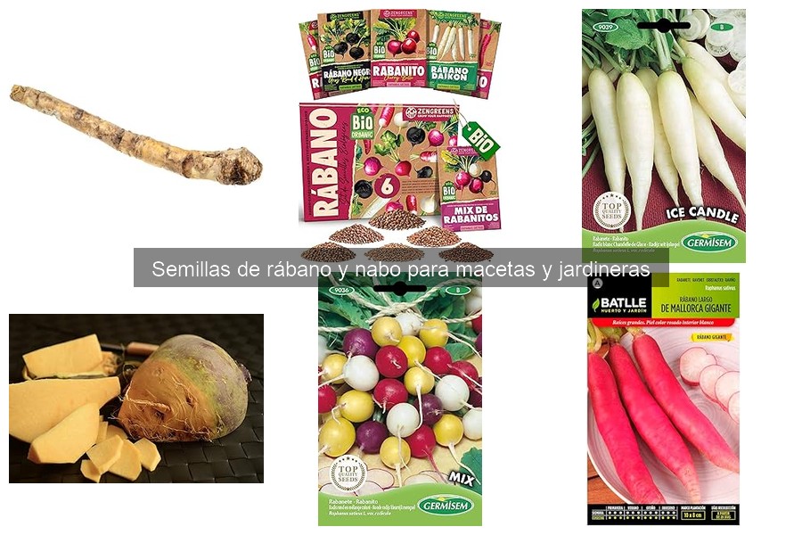 Comparativa de precios de semillas de rábano y nabo