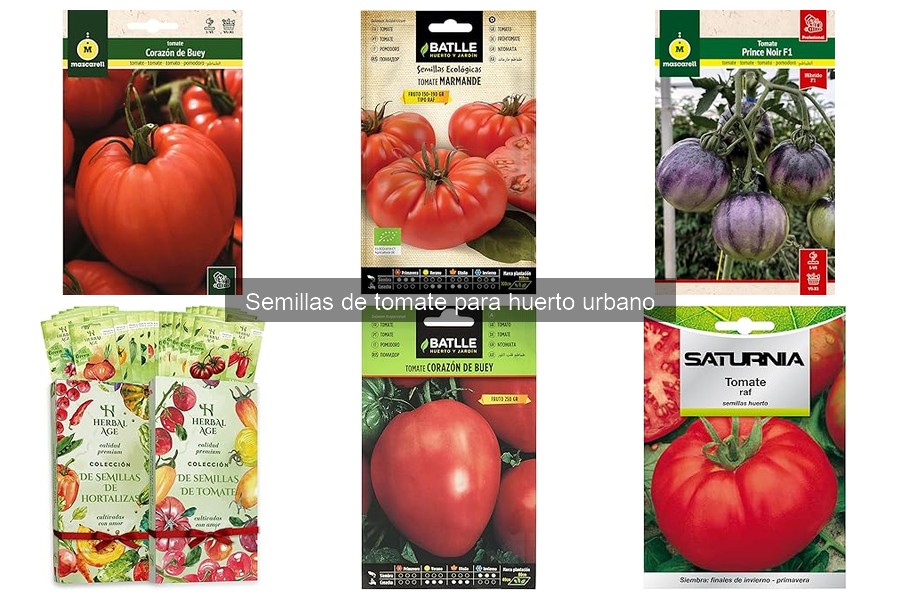 Comparativa de precios semillas de tomate para huerto urbano