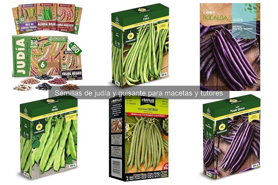Comparativa de precios y dónde comprar semillas de judía y guisante