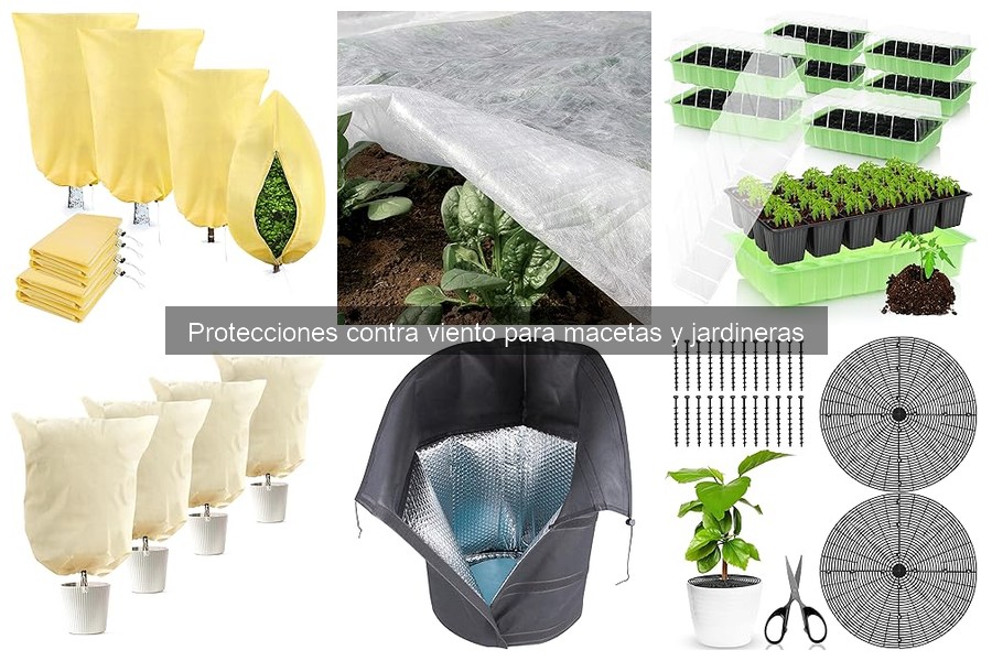 Comparativa de protecciones contra viento para macetas