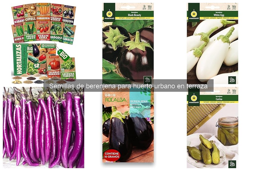 Comparativa de Semillas de Berenjena para Huerto Urbano