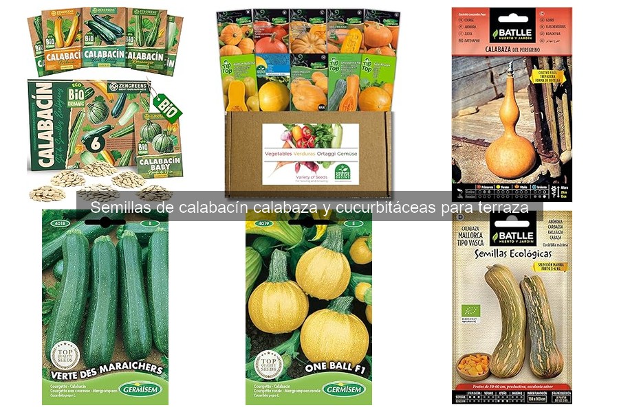 Comparativa de Semillas de Calabacín y Calabaza por Marca