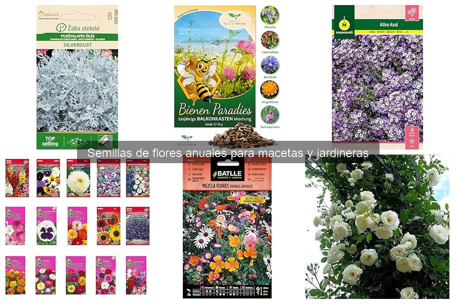 Comparativa de Semillas de Flores Anuales: Calidad y Precio