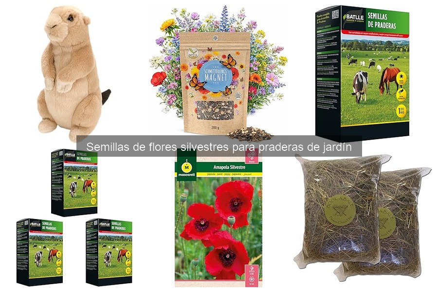 Comparativa de semillas de flores silvestres para tu jardín