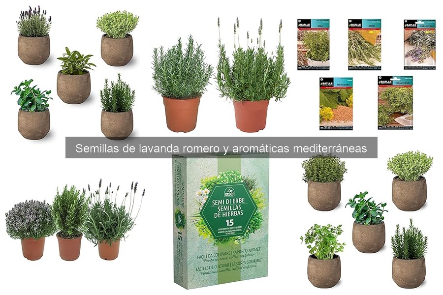 Comparativa de Semillas de Hierbas Aromáticas Mediterráneas