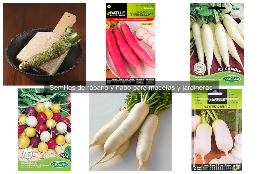 Comparativa de Semillas de Rábano y Nabo para Jardineras
