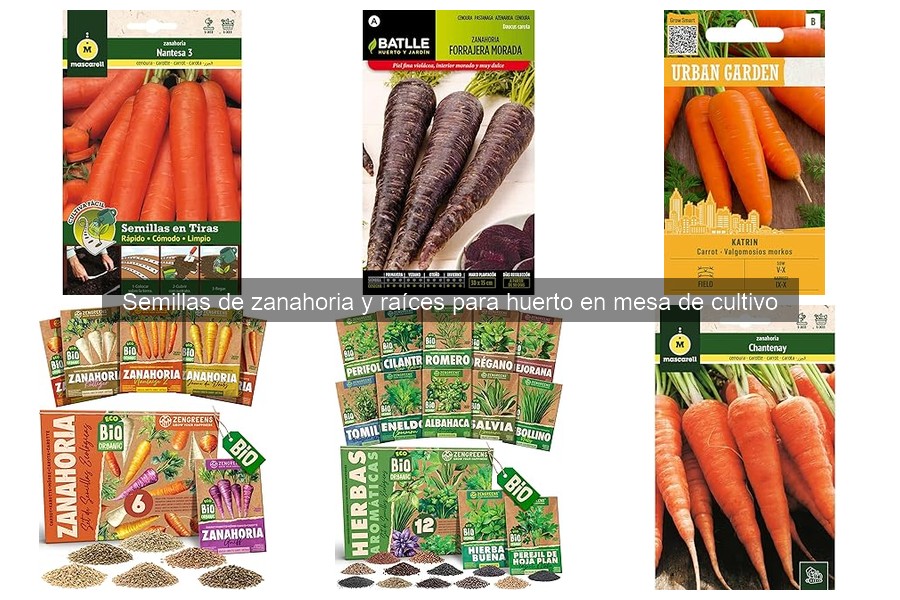 Comparativa de Semillas de Zanahoria: Tradicionales vs Híbridas