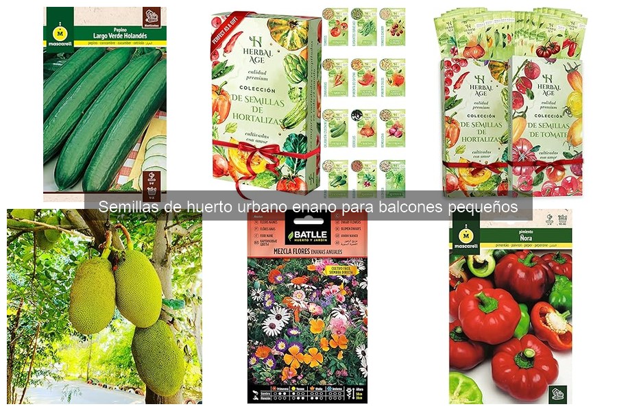 Comparativa de Semillas para Huertos Urbanos Enanos