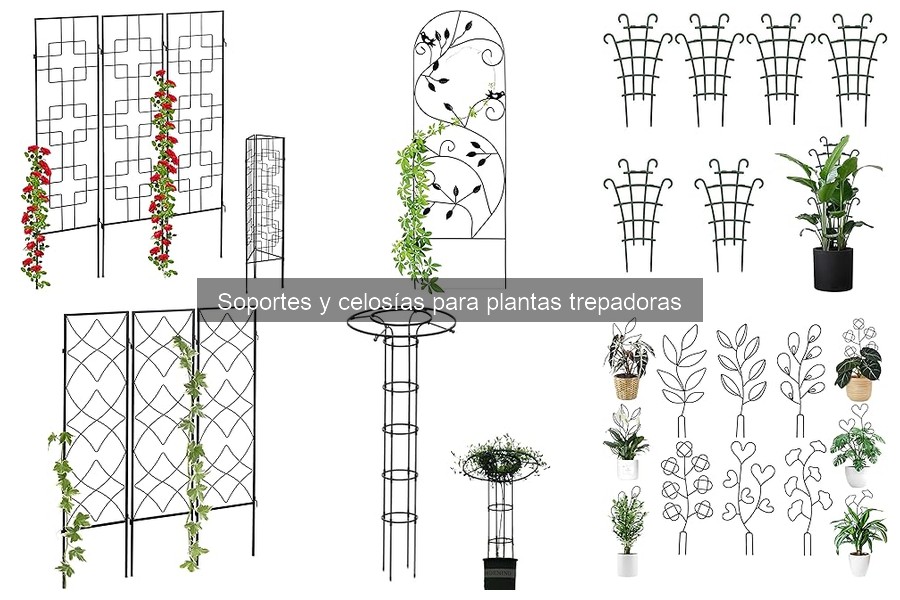Comparativa de Soportes para Plantas Trepadoras en 2023