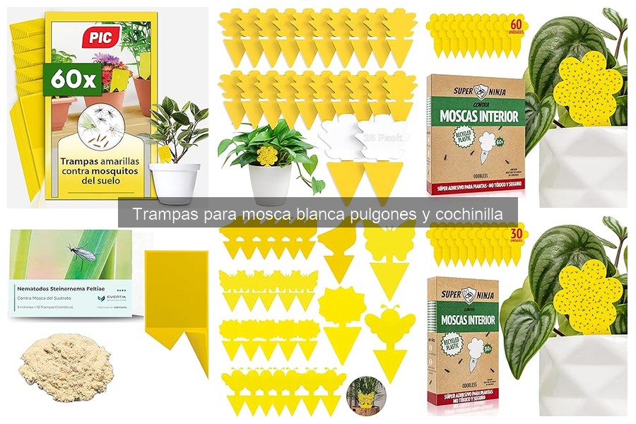 Comparativa de trampas para mosca blanca y pulgones
