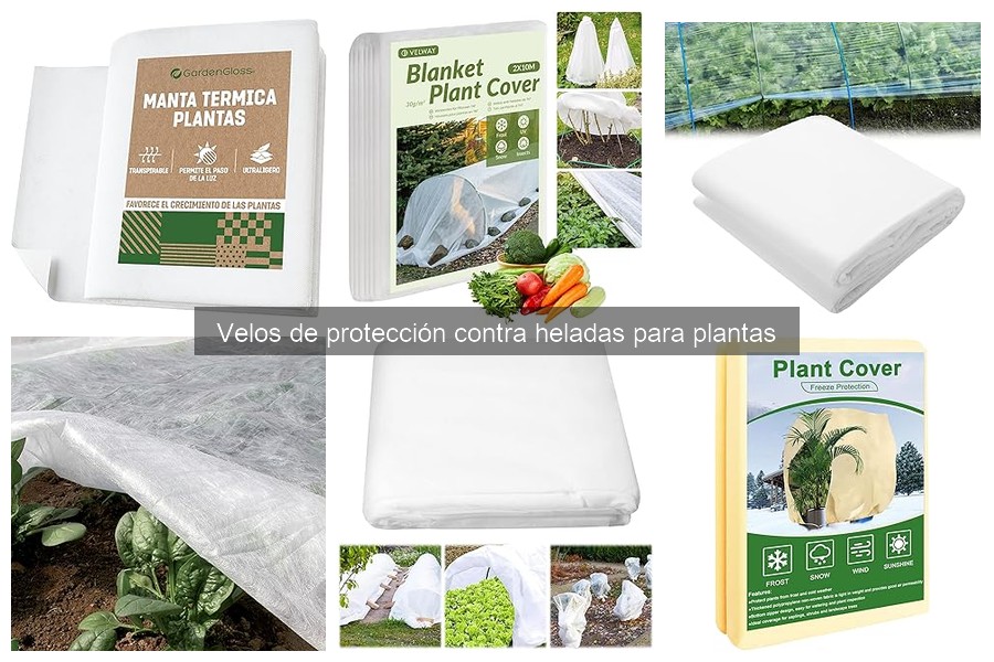 Comparativa de Velos de Protección contra Heladas para Plantas