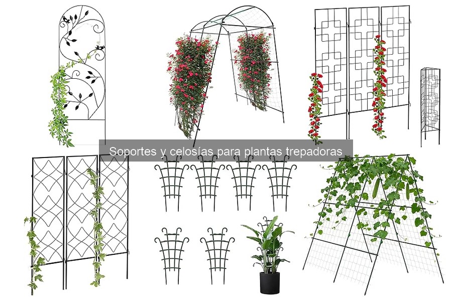 Comparativa: Enrejado vs. Celosía para Plantas Trepadoras