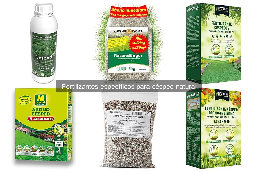 Comparativa: Fertilizantes Orgánicos vs. Químicos para Césped