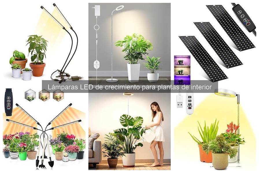 Comparativa: Lámparas LED vs Fluorescentes para Cultivo