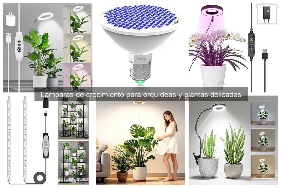Comparativa: Lámparas LED vs Fluorescentes para Orquídeas
