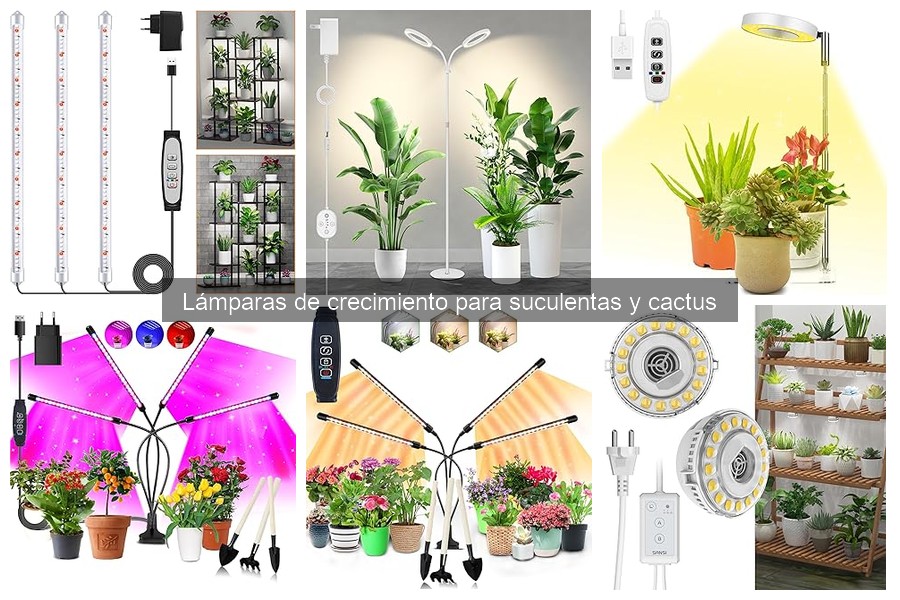 ** Comparativa: Lámparas LED vs. Fluorescentes para Suculentas